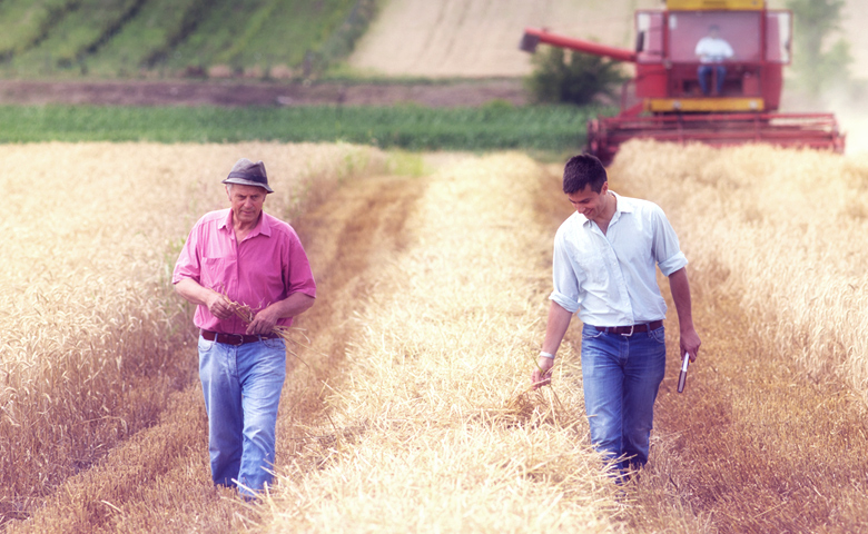 Raymond Chabot Grant Thornton - Relève agricole: les étapes clés pour un transfert de ferme réussi
