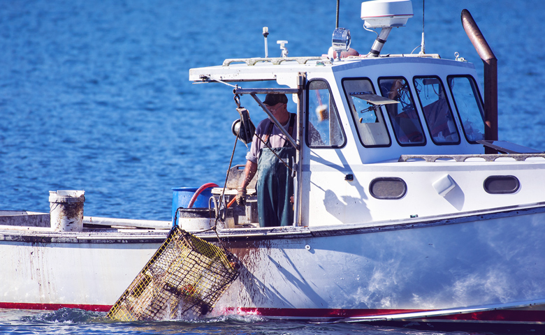 Raymond Chabot Grant Thornton - Fishing Business and Taxes: What You Need to Know