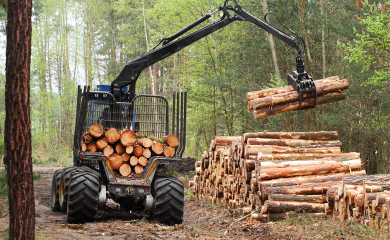Raymond Chabot Grant Thornton - Industrie forestière : hausse de la demande et évolution de la clientèle